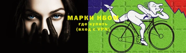 стафф Володарск