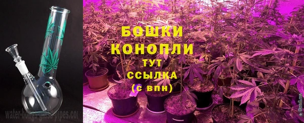 дурь Вяземский
