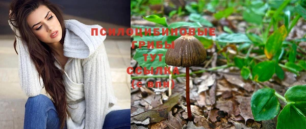 дмт Волосово