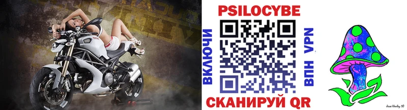 Купить  Буй  Галлюциногенные грибы Psilocybe 