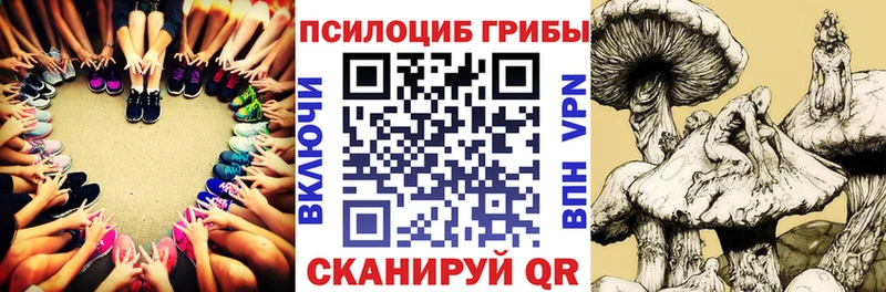 Псилоцибиновые грибы Magic Shrooms Буй